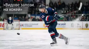 Видове залози на хокей: маркети и примери | Леденкоф